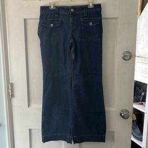 Banana Republic Urban Flared Leg Jeans